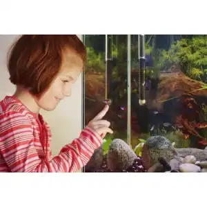 Fluval-Außenfilter