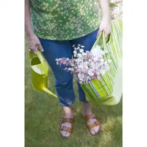 Gießkanne mit Lichterkette