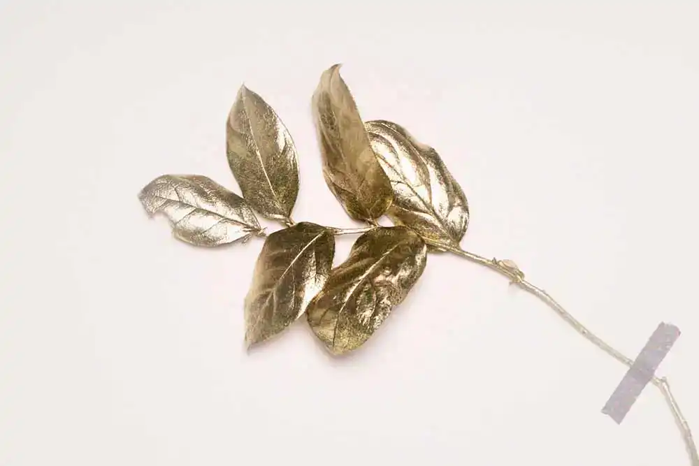Goldlack