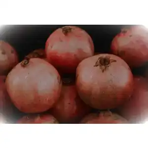 Die beste Granatapfel-Entkerner 2026 Test Bestseller Granatapfel-Entkerner