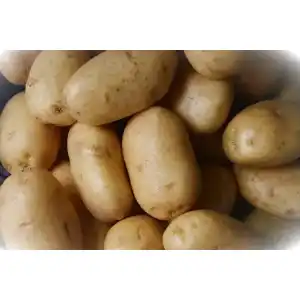 Kartoffelstampfer