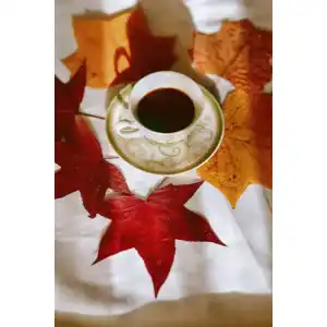 Pumpkanne