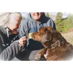 Wundspray für Hunde