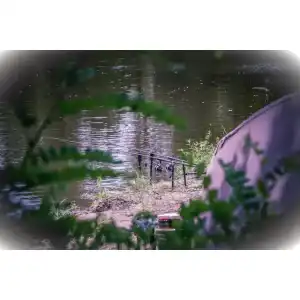 Zeck-Ruten