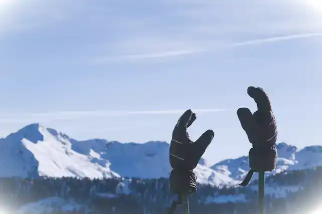Ziener-Handschuhe Ziener-Handschuhe