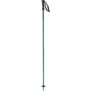 Skistöcke Salomon Arctic Unisex Aluminium
