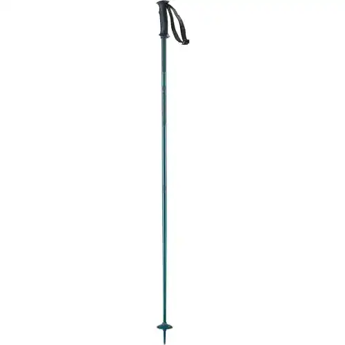 Skistöcke Salomon Arctic Unisex Aluminium