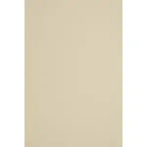 Recyclingpapier Netuno 50 Blatt Ecru DIN A4 210x 297 mm 110g