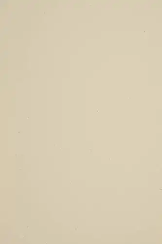 Recyclingpapier Netuno 50 Blatt Ecru DIN A4 210x 297 mm 110g