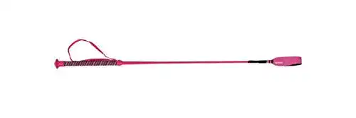 Reitgerte ARBO-INOX für Kinder Springgerte Lackoptik (Rosa)