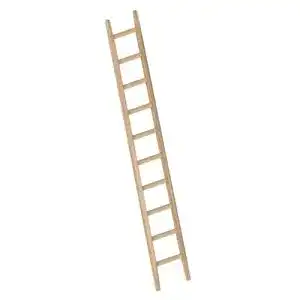 Holzleiter LAYHER 1036010 1036 Bau-Holzanlegeleiter, 10 Sprossen