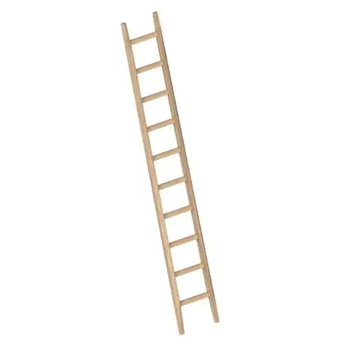 Holzleiter LAYHER 1036010 1036 Bau-Holzanlegeleiter, 10 Sprossen