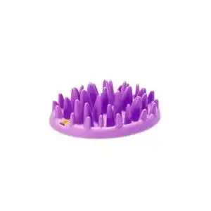 Anti-Schling-Napf Katze NORTHMATE ® CATCH lila