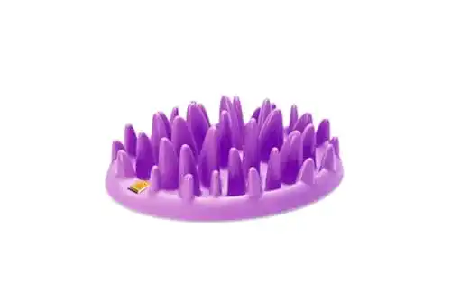 Anti-Schling-Napf Katze NORTHMATE ® CATCH lila