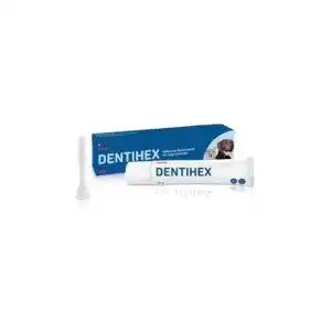 Katzenzahnpasta Dentisept Zahnpasta für Katzen und Hunde, 20 g