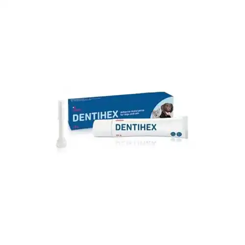 Katzenzahnpasta Dentisept Zahnpasta für Katzen und Hunde, 20 g