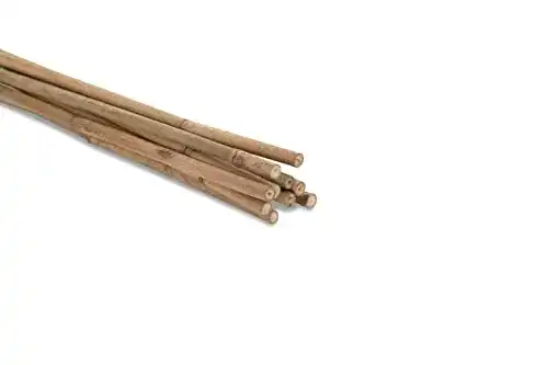 Bambusstäbe Novatool 50x Tonkinstäbe 75 cm, ø 6 – 8 mm, Braun