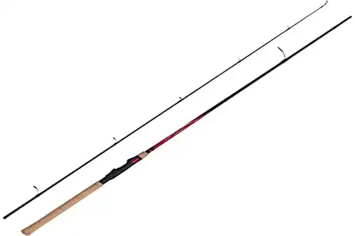 Shimano-Ruten SHIMANO Catana EX Spinning 210UL