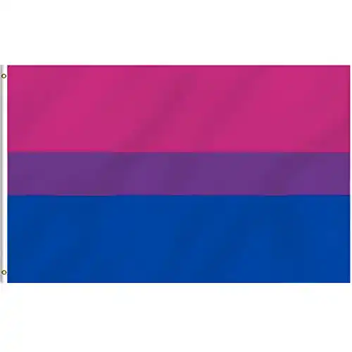 Bi-Flagge MOGADEE Bi Flagge, 90*150cm mit Wetterschutz