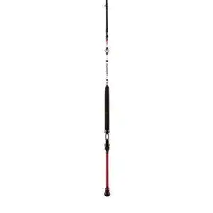 Meeresruten Penn Squadron II 212 20-30lb Boat