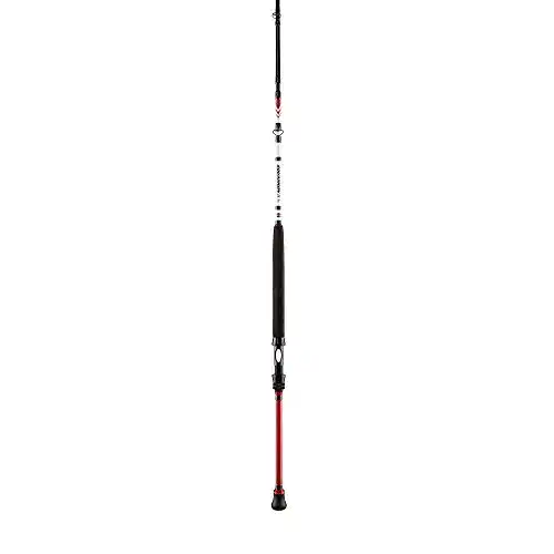 Meeresruten Penn Squadron II 212 20-30lb Boat