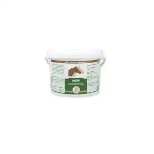 MSM Pferd Equipower MSM 2 kg