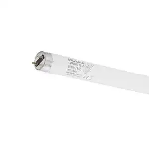 Leuchtstofflampe SYLVANIA T8 Leuchtstoff-Lampe, G13 Sockel