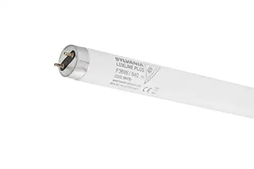 Leuchtstofflampe SYLVANIA T8 Leuchtstoff-Lampe, G13 Sockel