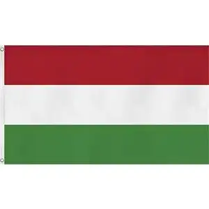 Flaggen normani Fahne/Flagge mit Zwei Metallösen zur Befestigung