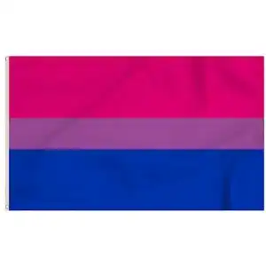 Bi-Flagge Storm&Lighthouse Bisexuelle Flagge, 150 x 90 cm