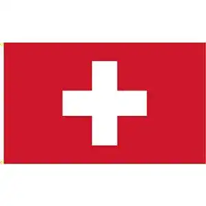 Schweiz-Flagge BGFint Schweiz Flagge 150x90cm Stoff 100g/qm