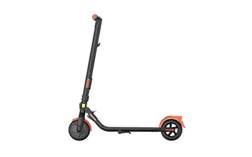 Elektro-Scooter Segway-Ninebot Ninebot KickScooter ES1LD