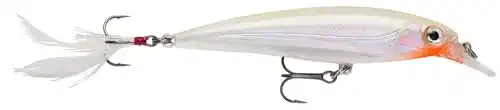 Die beste Rapala-X-Rap Rapala X-Rap Fresh 08 cm GLGH 2026 Test Bestseller Rapala-X-Rap Rapala X-Rap Fresh 08 cm GLGH