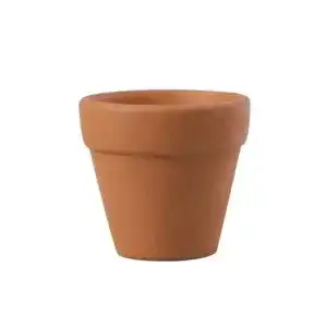 Tontöpfe BESTonZON Mini-, aus Terrakotta 20 Stück Klein