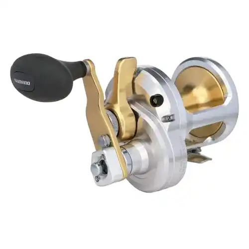 Shimano-Multirolle SHIMANO Talica TAC16II Angelrolle
