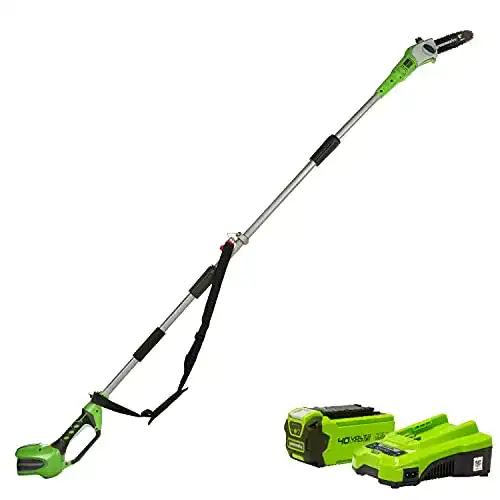 Akku-Hochentaster Greenworks Tools Greenworks G40PS20K2