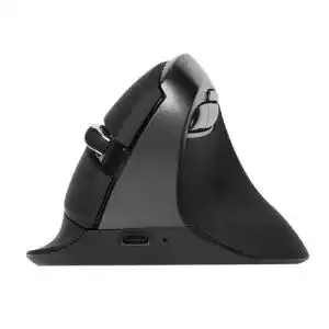 Ergonomische Maus (kabellos) DeLUX Vertikal mit RGB Licht