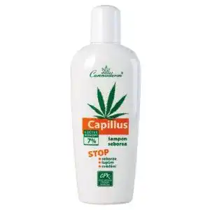 Hanf-Shampoo Cannabis-cosmetics Capillus Hanf Shampoo