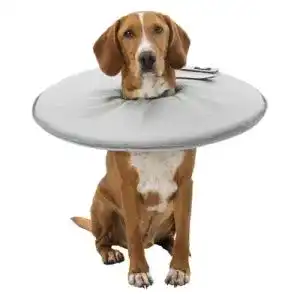 Halskrause Hund TRIXIE 19425 Schutzkragen, L: 46–49 cm/24 cm