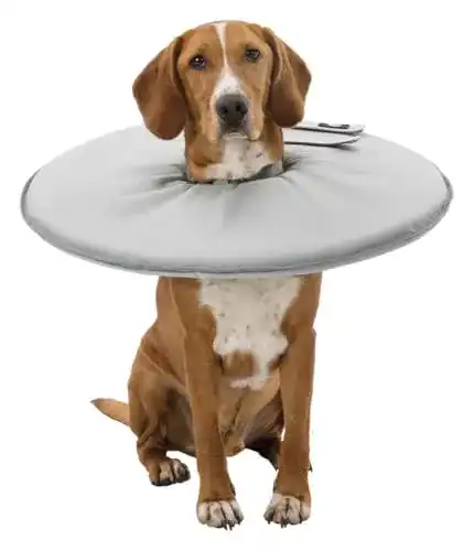 Halskrause Hund TRIXIE 19425 Schutzkragen, L: 46–49 cm/24 cm