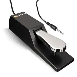 Sustain-Pedal M-Audio SP-2 – Universal Sustain Pedal Piano Style