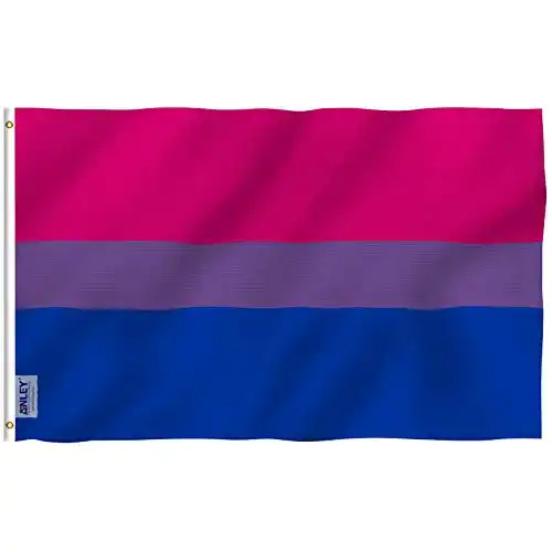 Bi-Flagge Anley Fly Breeze 3×5 Fuß Bi Pride Flagge