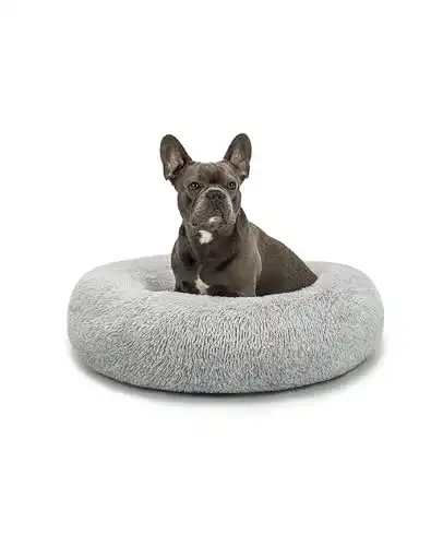 Die beste Hundekissen lionto by dibea Hundebett rund (XL) 70 cm Ø 2026 Test Bestseller Hundekissen lionto by dibea Hundebett rund (XL) 70 cm Ø