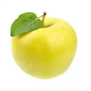 Apfelbaum Blumen Senf Golden Delicious 130 cm, 5 Liter Topf