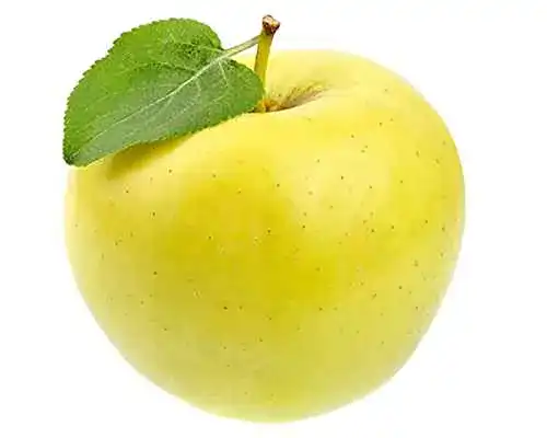 Apfelbaum Blumen Senf Golden Delicious 130 cm, 5 Liter Topf