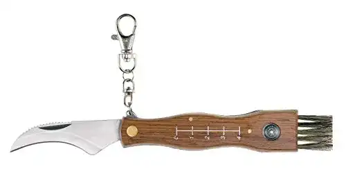 Pilzmesser AUSONIA 26300 , Braun