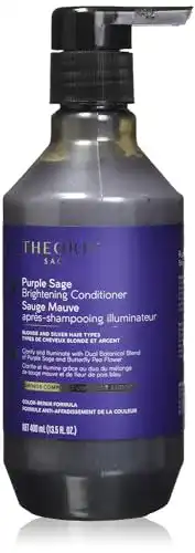 Aufhellendes Shampoo Theorie Purple Sage Balance