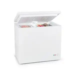 Gefriertruhe 200 Liter Klarstein Iceblokk Eco, Temperaturregler
