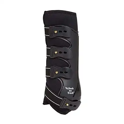Die beste Dressurgamasche Back on Track Royal Work Boots n Hindleg 2026 Test Bestseller Dressurgamasche Back on Track Royal Work Boots n Hindleg