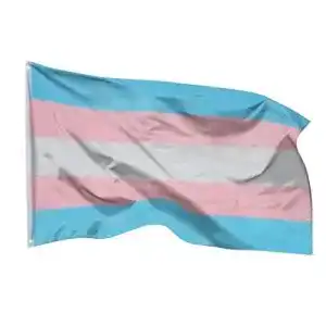 Trans-Flagge PHENO FLAGS mit Messing-Ösen 90 x 150 cm